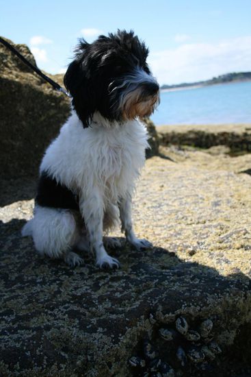 Schluss mit dem Stadtgelatsche ))