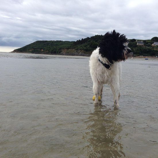 Vorm zu Bett gehen noch mal eben die Füsse waschen