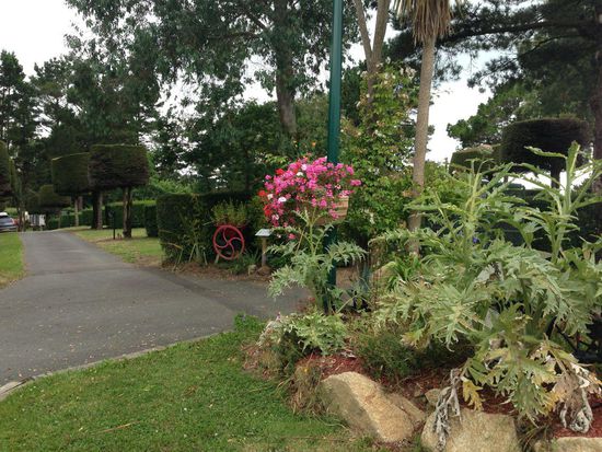 Rundgeschnibbelte Bäume.