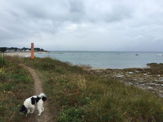 Die ruhige Seite der Halbinseln Quiberon.