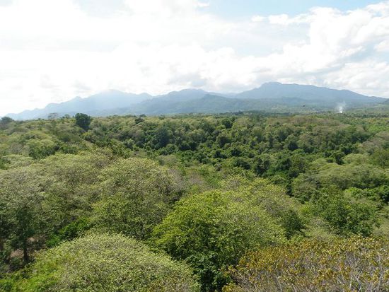 Aussicht vom Bali-Tower dieses Eco-Resorts im Nationalpark im nordwestlichsten Zipfel von Bali
