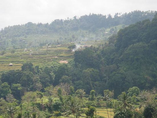 An den Hängen des Rinjani wird Reis angepflanzt. Hier befindet sich auch der Ausgangspunkt für die 3-4 tägigen Touren zum Vulkansee und auf den Gipfel.