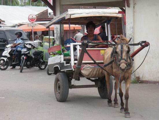 Die Idylle trügt. Im Hafen von Bangsal, wo die Boote von allen Gilis an- und ablegen, werden wir auf der Rückreise nach Gili Air zum ersten Mal mit dem Abriss-System in Indonesien konfrontiert von dem wir so viel gewarnt worden waren.