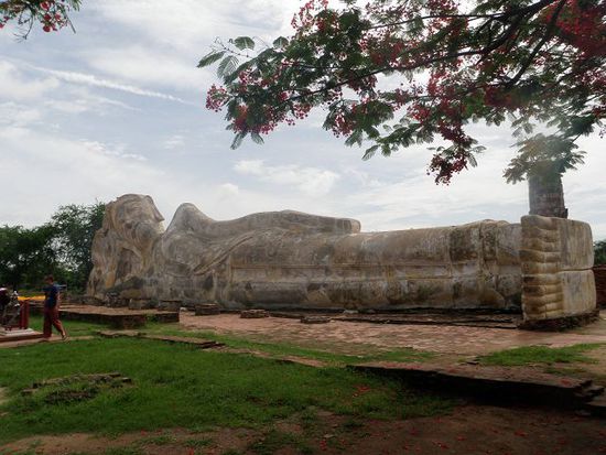 Wat (Tempel) Lokayasutha mit einem der grössten liegenden Buddhas überhaupt.