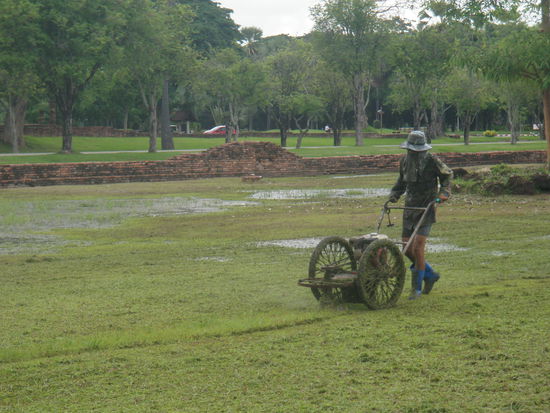 Rasenmäher des 22. Jh. Es ist vom letzten Regen noch etwas nass...