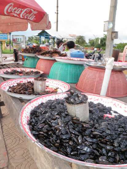 Lokale Leckerbissen auf dem Markt: Schlangen, Käfer, Raupen, Larven, etc., etc. Am besten zu einem Glas Bier (sagt man).
