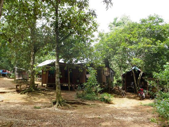Das Orang Asli Dorf besteht aus ein paar einfachen Hütten...