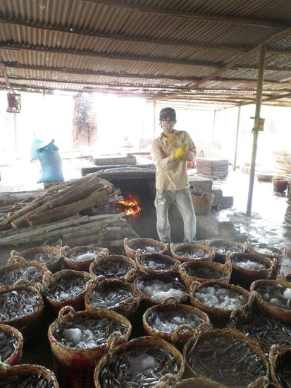 Sie werden z.B. gekocht...