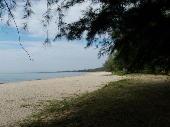 Der Sandstrand ist umsäumt von schattenspendenden Kasuarien