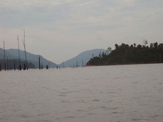 Der Kenyir See hat über 300 Inseln und 14 Wasserfälle und ist bei weitem der grösste Staudamm in Südostasien (über 260'000 ha). Wo nur noch die Baumspitzen aus dem Wasser ragen gilt wahrscheinlich nicht als Insel?