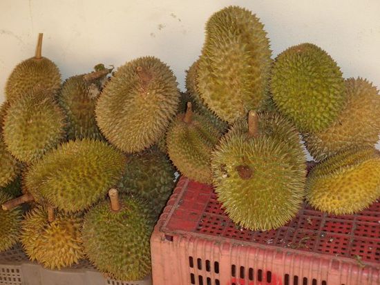 Auch die Durians sind fast ausverkauft. Die Durian ist trotz ihres gewöhnungsbedürftigen Geruchs, der ihr den Namen "Stinkfrucht" eingebracht hat, sehr lecker (vanillig).