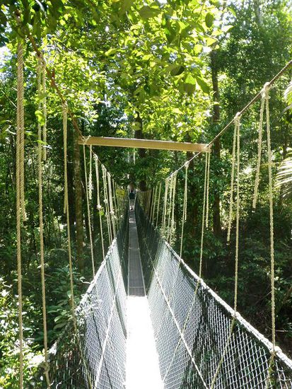 inkl. Seilbrücke in schwindelerregender Höhe