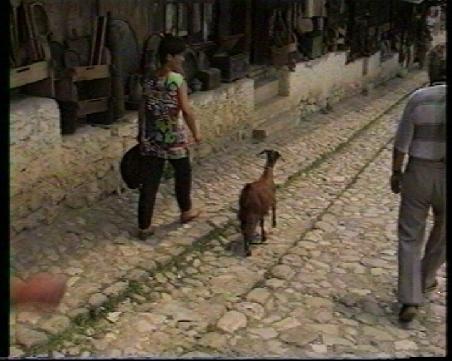 und keine Antiquität sondern das pulsierende Leben in Kruja !!
Wo sonst geht heute noch die Ehefrau mit einer folgsamen Geis am Sonntag Nachmittag spazieren...???