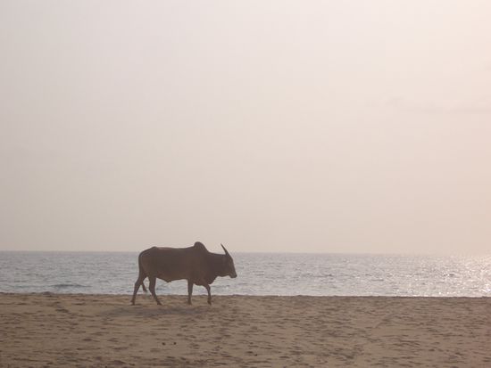 ...und der Strand davor.