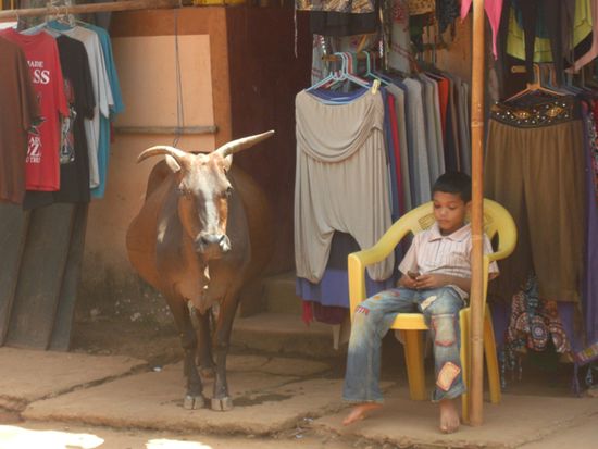 High noon in Gokarna