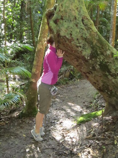 man sollte den kopf nicht in den sand ääh baum stecken 
oder woooo ist die schlange??? 