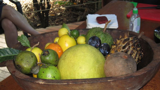 exotic fruit testing
