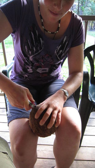 alles was man braucht, ist ein schweizer taschenmesser 