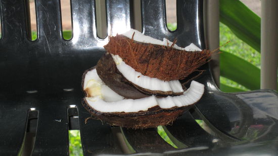 unsere ausbeute.. war lecker 