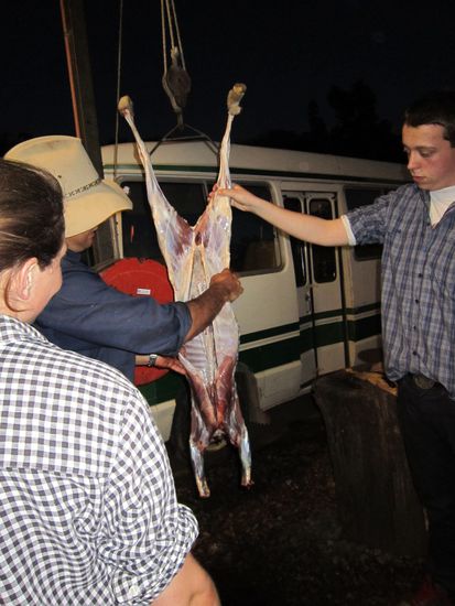 ....etz hängt es da und wartet auf den kochtopf! 