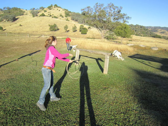 komm hol das lasso raus, wir spielen cowboy &amp; indianer 