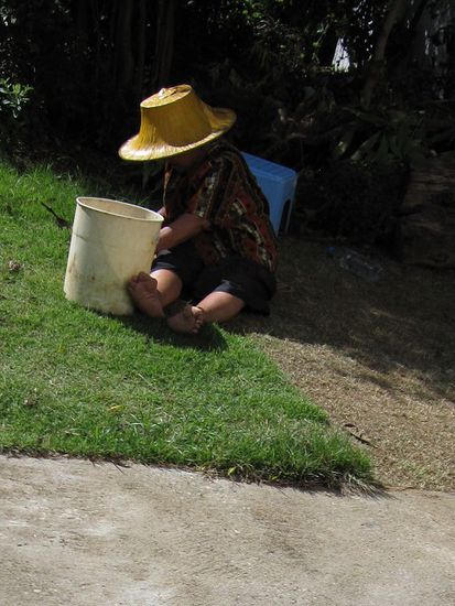 Rasen mähen im Thai Style mit Messer!