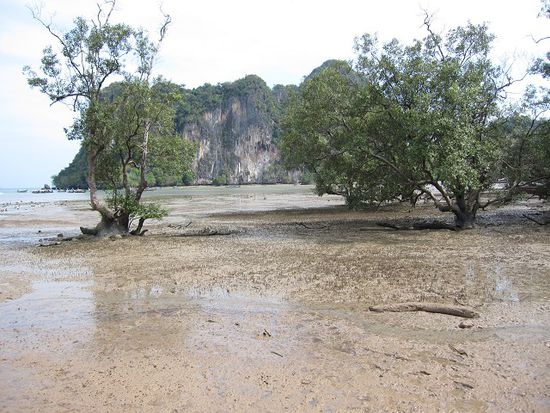 Rai Leh East bei Ebbe