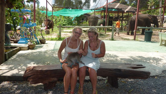 Dieses kleine Aeffchen war auf absolutem Kuschelkurs. Als ich vorbeiging sprang er zu mir und kletterte an mir hoch. Und wie man auf dem Bild sieht konnte es nicht genug Streicheleinheiten bekommen...