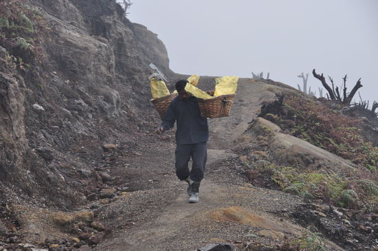 Und das waren noch die harmloseren Körbe