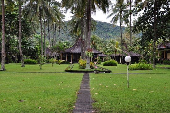 Der Garten vom Mascot