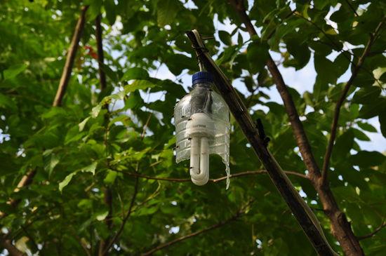 Gili Air-die Strassenbeleuchtung