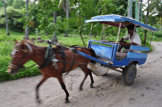 Gili Air-der 1PS Ferrari
