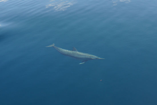 Allein für solche Eindrücke hat sich der Trip schon gelohnt!