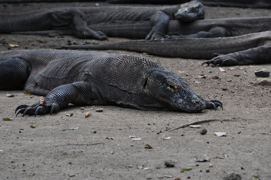 Abhängen vor der Küchenhütte