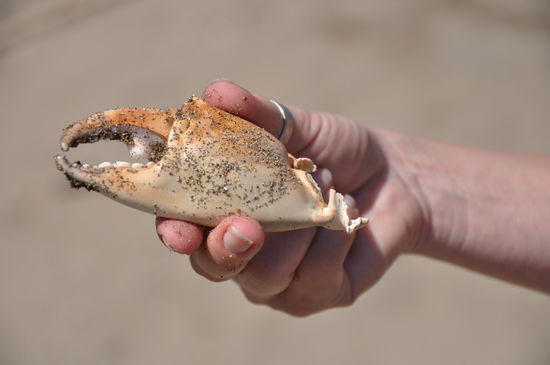 Wie groß war denn da bitte der Rest?