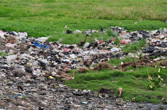 nur die Enten hatten ihren Spass