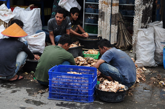 Hunderte von Muscheln, die hier zu Souvenirs verarbeitet werden