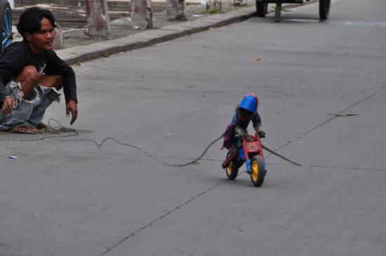 Dressierter Makake der immer wieder an dem Band um seinen Hals in die richtige Richtung gezerrt wurde