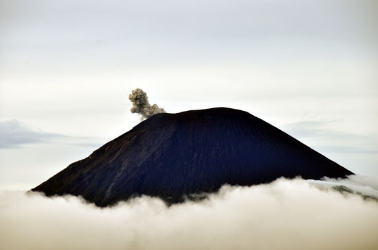 So sah das rangezoomt aus