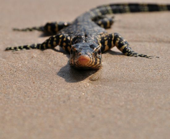 Kannichdenmitnehmn???