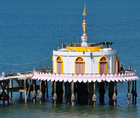 Der Tempelpier, sieht aus wie ein Sahnebaiser