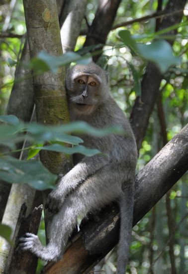 ...und entspannt abhaengen bis die doofen Touris wieder weg sind