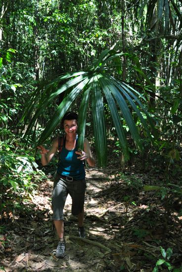 und endlich mal wieder ein paar grosse Blaetter