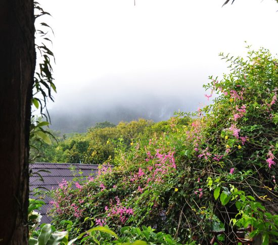 Leider zu frueh, also zu viel Wolken, zu wenig Berge beim Fruehstueck