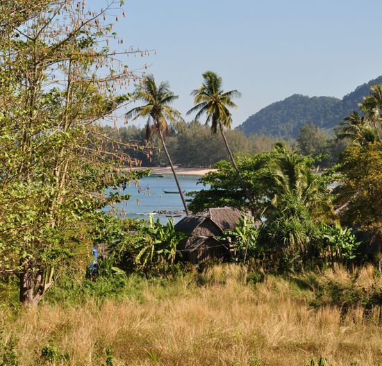 Unser Bungalow im Lanta Marina Resort von oben, auf ein Spinnenfoto hab ich lieber verzichtet...