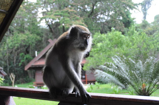 Da denkt er noch, er kriegt die Chips