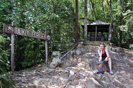 Dried chili snow frog