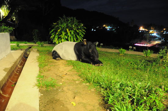 Da war er dann schon ein wenig müde