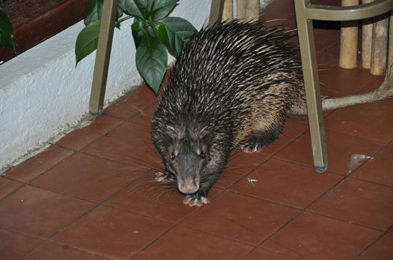 auch so lustige Füsse