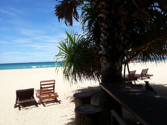 Einmal Nase lang machen 